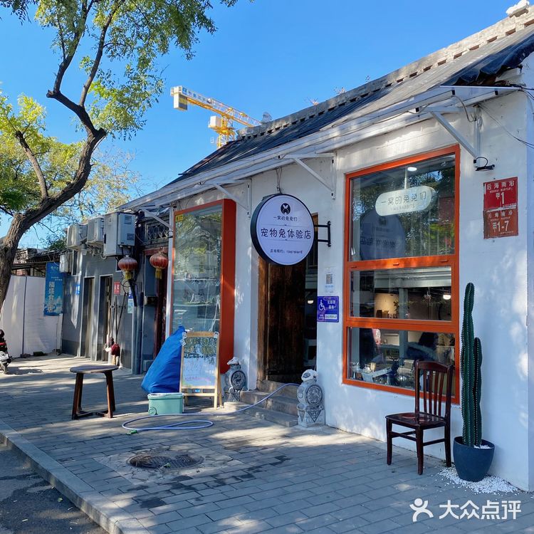 北京探店｜在后海街边遛兔子🐰