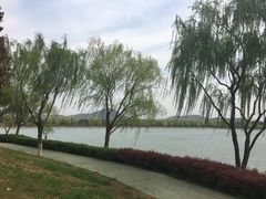 -羊山湖公园