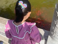-迎泽公园