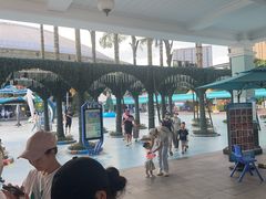 -海合安成都极地海洋公园