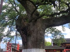 -新安江山水画廊风景区