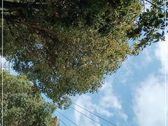 -大理洱海