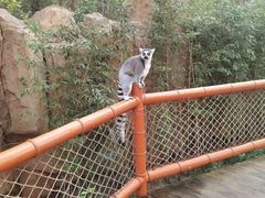 -北京野生动物园