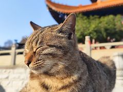 -宝通禅寺