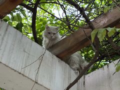 -山东大学(趵突泉校区)