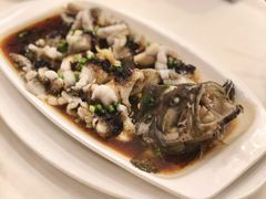 古法蒸石斑鱼-金时代顺风大酒店(金山店)
