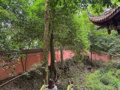 -都江堰普照寺