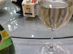 -丁老爷子苏香圆