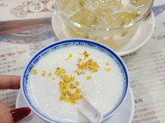 -周大娘牛乳(旧寨古村总店)