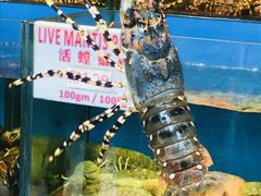 -真浪花园海鲜餐馆