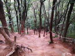 -灵岩山风景区