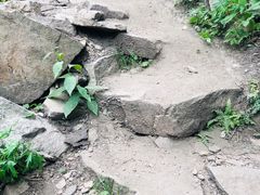 -抱龙峪