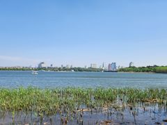 -长春市南湖公园