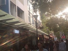 -Wagas沃歌斯(大学路店)