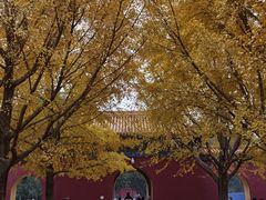 -中山公园(石岐街道)