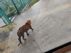 -栾川竹海野生动物园