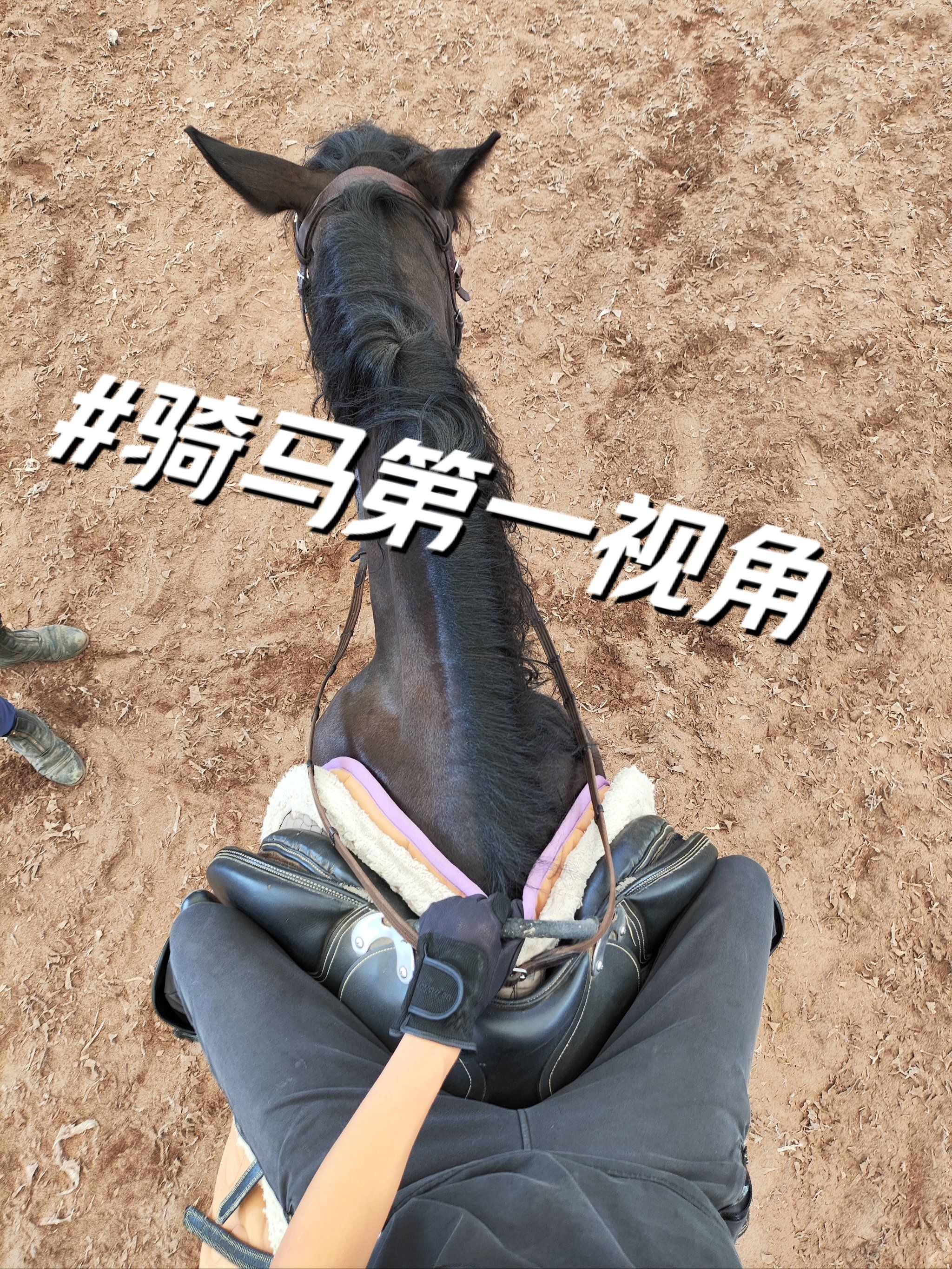 进来感受下骑马的第一视角