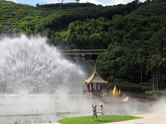 -西双版纳原始森林公园