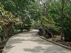 -塘沽森林公园