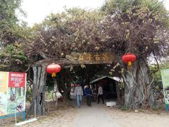 -长洲岛