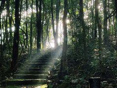 -广州市石门国家森林公园
