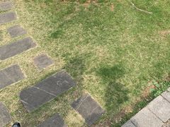 -白塘生态植物园