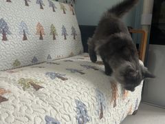 -全心全意连锁动物医院(加州店)