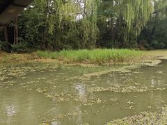 -洛阳市隋唐城遗址植物园