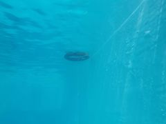 -上海潜殿潜水中心