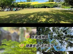 -东莞植物园
