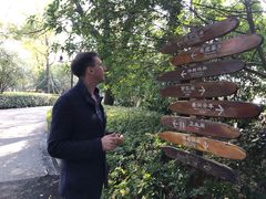 -金鸡湖桃花岛