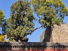 -承恩寺