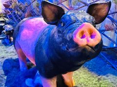 -淀里船宴(卓达店)