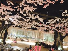 -蓝鲸湾汤泉(包河店)