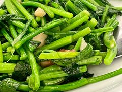 板蓝根菜-玖味(老工人西路店)