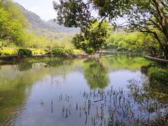 -八卦田遗址公园
