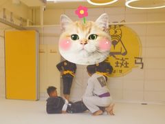 -勇气斑马·巴西柔术&跆拳道(浦东三林店)