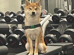 -YCHL Studios健身工作室(市二宫店)