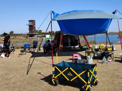 -春花秋色城市公园