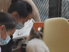 -怪兽屋·羊驼·猫咖·狗咖(俊华广场店)