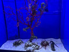 -多彩贵州城极地海洋世界