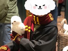 -九又四分之三站台哈利波特商店