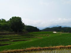 -牙胡梯田