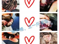 -宠小格时尚宠物生活馆(唐镇店)