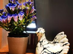 -谷咖啡·鲜花绿植花园餐厅