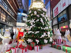 -大悦城(沈阳中街店)