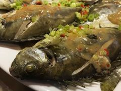 -百年银屏蚝烙·潮汕菜·非遗(乐山店)