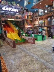 -卡通尼·Safari非洲探索乐园·生日会(金桥国际商业广场店)