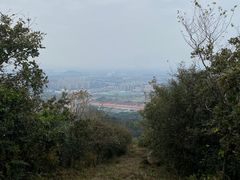 -杭州半山国家森林公园