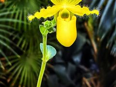 -国家植物园